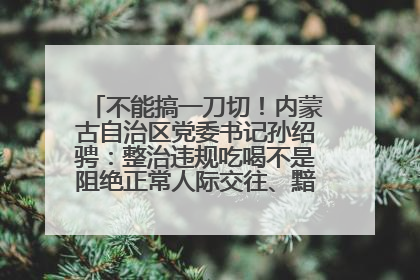 不能搞一刀切！内蒙古自治区党委书记孙绍骋：整治违规吃喝不是阻绝正常人际交往、黯淡人间烟火