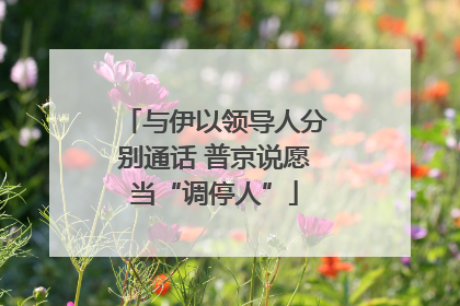 与伊以领导人分别通话 普京说愿当“调停人”