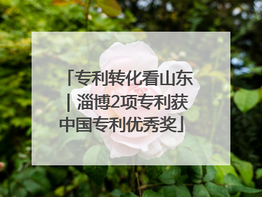 专利转化看山东｜淄博2项专利获中国专利优秀奖
