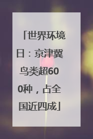 世界环境日：京津冀鸟类超600种，占全国近四成