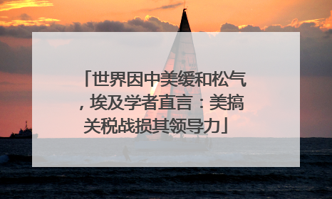 世界因中美缓和松气，埃及学者直言：美搞关税战损其领导力
