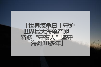 世界海龟日丨守护世界最大海龟产卵 特多“守夜人”坚守海滩30多年