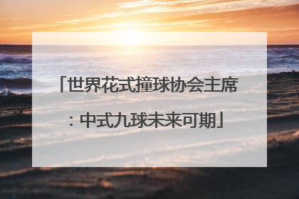 世界花式撞球协会主席：中式九球未来可期