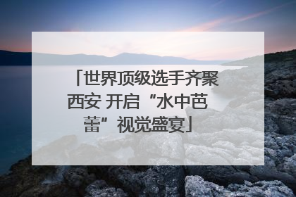 世界顶级选手齐聚西安 开启“水中芭蕾”视觉盛宴