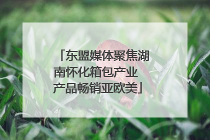 东盟媒体聚焦湖南怀化箱包产业 产品畅销亚欧美