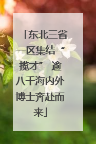 东北三省一区集结“揽才” 逾八千海内外博士奔赴而来