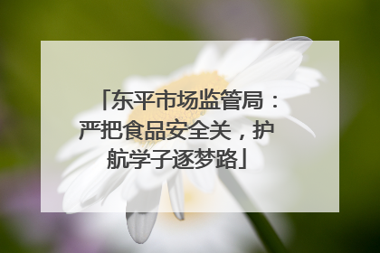 东平市场监管局：严把食品安全关，护航学子逐梦路