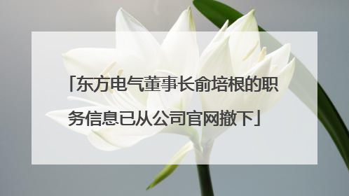 东方电气董事长俞培根的职务信息已从公司官网撤下