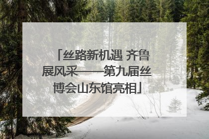 丝路新机遇 齐鲁展风采——第九届丝博会山东馆亮相