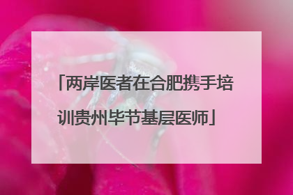 两岸医者在合肥携手培训贵州毕节基层医师