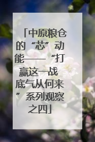 中原粮仓的“芯”动能——“打赢这一战 底气从何来”系列观察之四