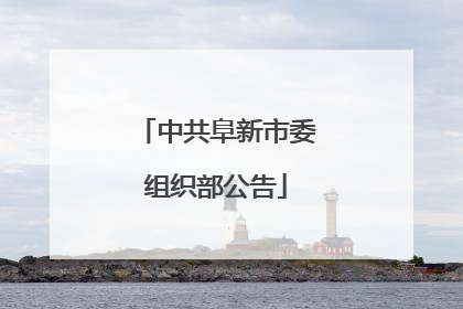 中共阜新市委组织部公告