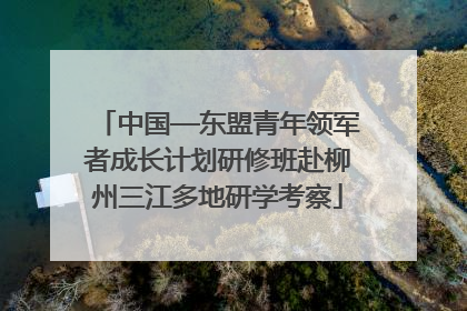 中国—东盟青年领军者成长计划研修班赴柳州三江多地研学考察