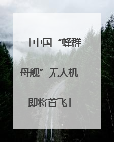 中国“蜂群母舰”无人机即将首飞