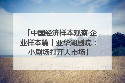 中国经济样本观察·企业样本篇︱亚华湖剧院：小剧场打开大市场