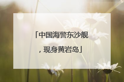 中国海警东沙舰，现身黄岩岛