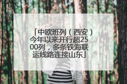 中欧班列（西安）今年以来开行超2500列，多条铁海联运线路连接山东