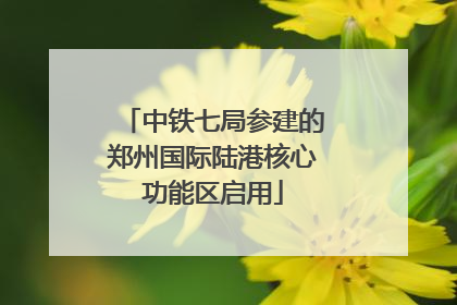 中铁七局参建的郑州国际陆港核心功能区启用