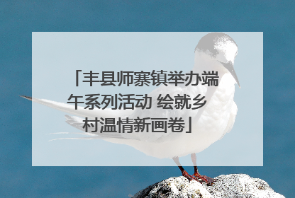 丰县师寨镇举办端午系列活动 绘就乡村温情新画卷