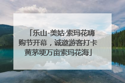 乐山-美姑·索玛花嗨购节开幕，诚邀游客打卡黄茅埂万亩索玛花海