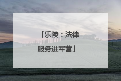 乐陵：法律服务进军营