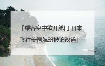 乘客空中欲开舱门 日本飞往美国航班被迫改道