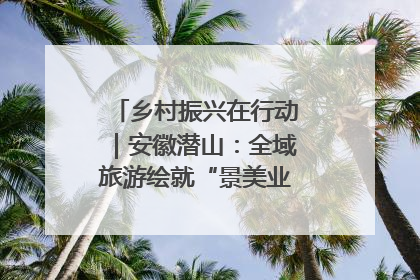 乡村振兴在行动｜安徽潜山：全域旅游绘就“景美业兴民富”新画卷
