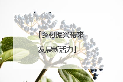 乡村振兴带来发展新活力