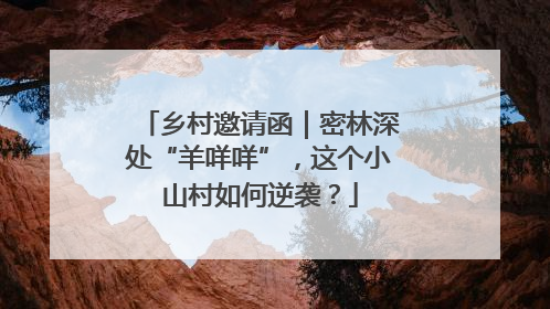 乡村邀请函｜密林深处“羊咩咩”，这个小山村如何逆袭？