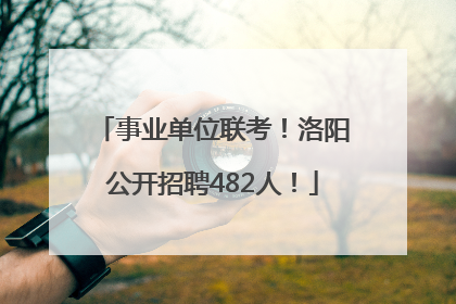 事业单位联考！洛阳公开招聘482人！