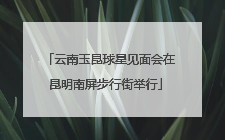 云南玉昆球星见面会在昆明南屏步行街举行