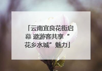 云南宜良花街启幕 邀游客共享“花乡水城”魅力