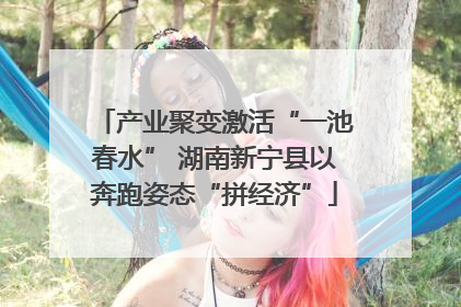 产业聚变激活“一池春水” 湖南新宁县以奔跑姿态“拼经济”