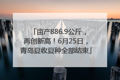 亩产886.9公斤，再创新高！6月25日，青岛夏收夏种全部结束