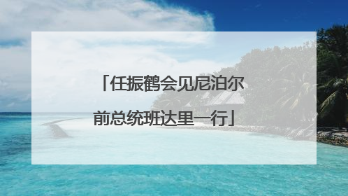 任振鹤会见尼泊尔前总统班达里一行