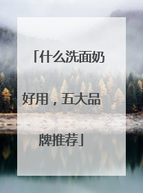 什么洗面奶好用，五大品牌推荐