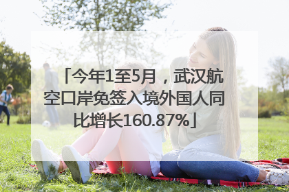 今年1至5月，武汉航空口岸免签入境外国人同比增长160.87%