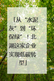 从“水泥灰”到“环保绿”！北湖这家企业实现低碳转型