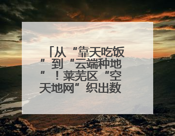 从“靠天吃饭”到“云端种地”！莱芜区“空天地网”织出数字农业新图景