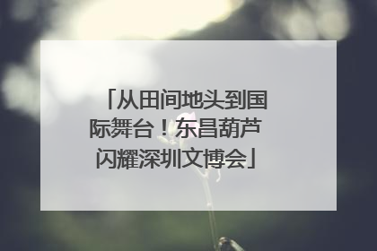 从田间地头到国际舞台！东昌葫芦闪耀深圳文博会