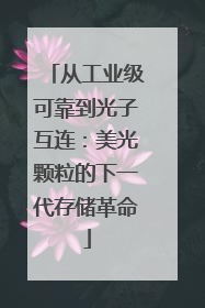 从工业级可靠到光子互连：美光颗粒的下一代存储革命
