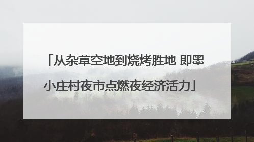 从杂草空地到烧烤胜地 即墨小庄村夜市点燃夜经济活力