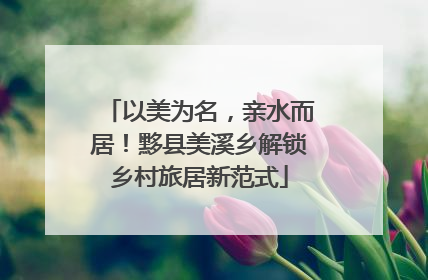 以美为名，亲水而居！黟县美溪乡解锁乡村旅居新范式