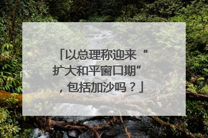 以总理称迎来“扩大和平窗口期”，包括加沙吗？