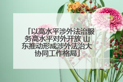 以高水平涉外法治服务高水平对外开放 山东推动形成涉外法治大协同工作格局