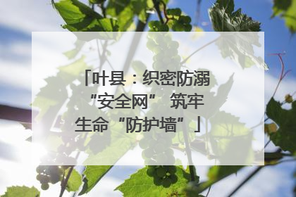 叶县：织密防溺“安全网” 筑牢生命“防护墙”