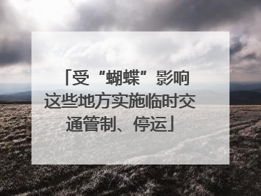 受“蝴蝶”影响 这些地方实施临时交通管制、停运