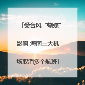 受台风“蝴蝶”影响 海南三大机场取消多个航班