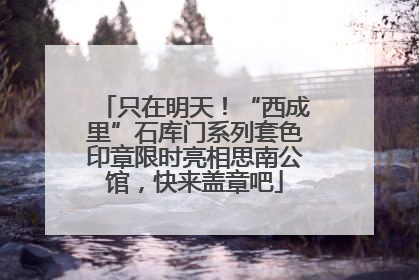 只在明天！“西成里”石库门系列套色印章限时亮相思南公馆，快来盖章吧