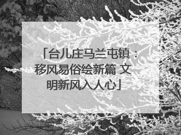 台儿庄马兰屯镇：移风易俗绘新篇 文明新风入人心